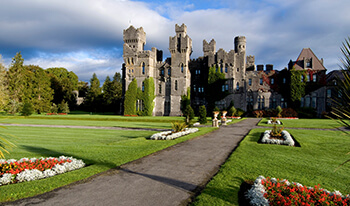 drinking tour of ireland